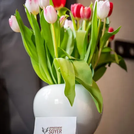 Soyer Διαμέρισμα *