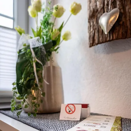 Apartman Soyer *